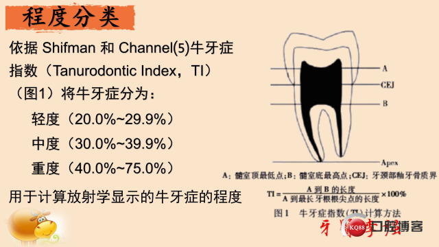 牛牙症遇到C型根管_KQ88口腔内科网